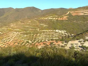Finca con catorce hectareas.