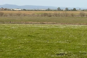 FINCA GANADERA Y DE CULTIVO CERCA DE CÁCERES