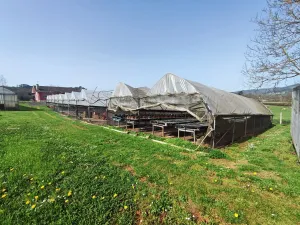 explotación agrícola en Llanera