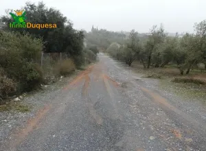 Finca rústica en Peligros con muy buen acceso.