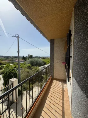 Finca Rustica en Orihuela Alicante