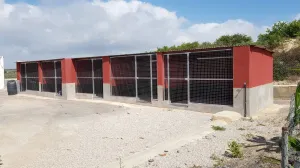 Finca en Los Montesinos - Alicante