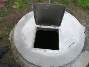 Finca Carballiño con pequeña viña y árboles