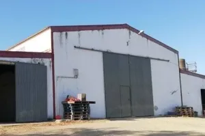 Dehesa Tamujoso | 650 ha de dehesa productiva con explotación ganadera y cinegética en Huelva