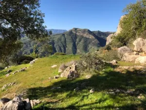 Finca en Alora