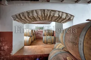 BODEGA DE AUTOR EN PRODUCCIÓN. CASI 6 HECTAREAS DE VIÑEDOS