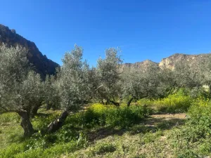Finca rústica con nave y vivienda