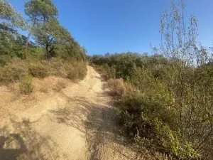 FINCA EN LA NAVA
