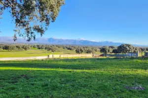 FINCA GANADERA DE 700HA EN EL NORESTE DE CÁCE
