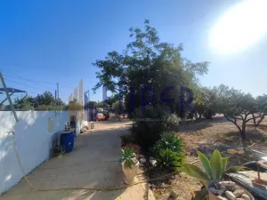 SE VENDE FINCA RÚSTICA A TAN SOLO 5 MINUTOS DE SAN VICENTE