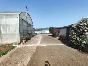 explotación agrícola en Llanera