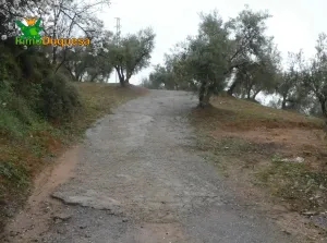 Finca rústica en Peligros con muy buen acceso.