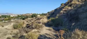 Huerta con casa de aperos, punto de luz y aljibe en los tollos, Archena.