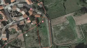 Finca Carballiño con pequeña viña y árboles