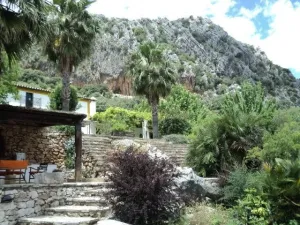 Finca en Benaojan