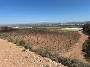 FINCA EN ALHAMA DE MURCIA