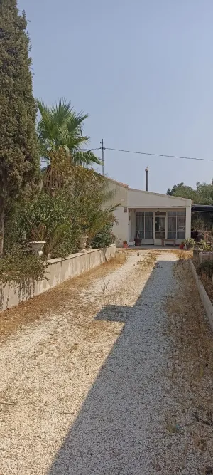 Finca rústica con vivienda y naves sobre parcela de 5.562 m2 en Elche