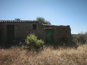 finca regadio y secano