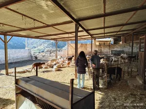 Riogordo - Colmenar 262,3 Ha Cortijo Napolín