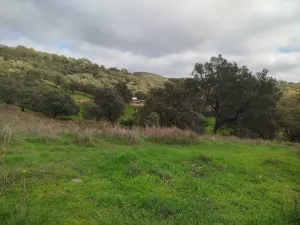 VENTA FINCA EN SIERRA DE ARACENA Y PICOS DE A