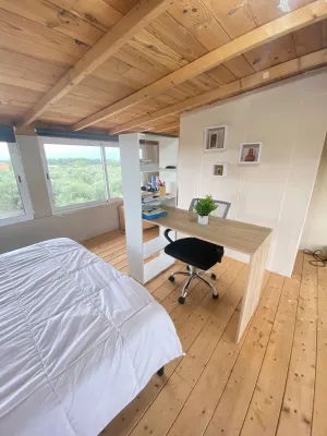 Finca rústica con casa, piscina y olivos