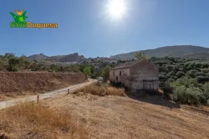 Terreno RÚSTICO con cortijo en Cogollos Vega