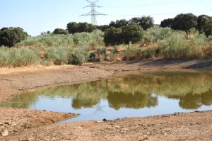 Finca Ganadera De 800ha Cerca De Cáceres