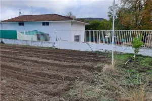 Finca Ecuestre Y Plaza De Toros En Cordoba