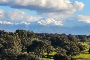 FINCA GANADERA DE 700HA EN EL NORESTE DE CÁCE