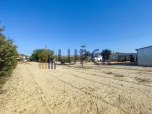 SE VENDE FINCA RÚSTICA A TAN SOLO 5 MINUTOS DE SAN VICENTE