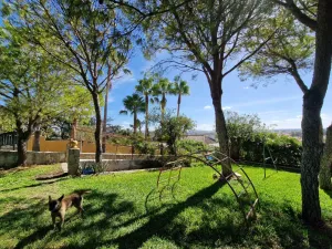 SE VENDE MARAVILLOSA FINCA