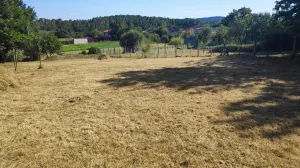 Finca próxima a Carballiño.