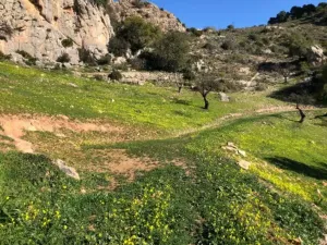 Finca en Alora