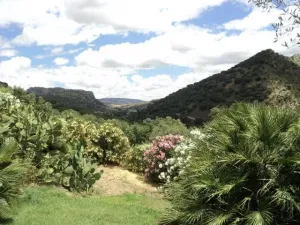 Finca en Benaojan