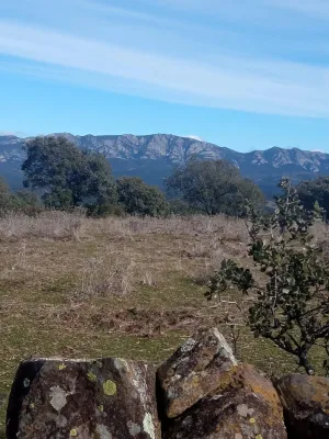 FINCA DE DEHESA DE 30 HECTÁREAS EN PLENA SIERRA MORENA (CORDOBA)