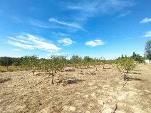 Finca en Zaragoza