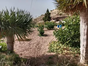🌿 Exclusiva Finca en Venta en Cruz de Tea – Vive la auténtica esencia de Tenerife