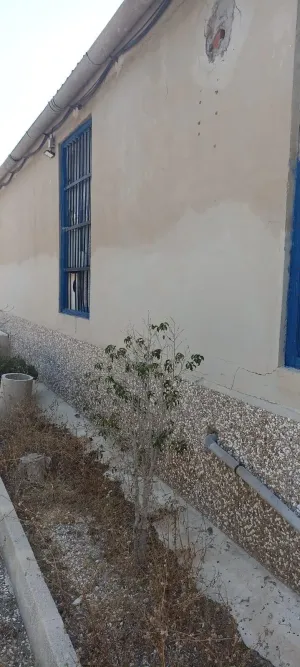 Finca rústica con vivienda y naves sobre parcela de 5.562 m2 en Elche