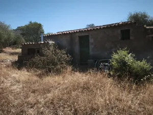 finca regadio y secano
