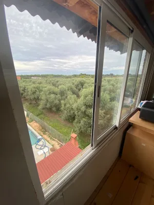 Finca rústica con casa, piscina y olivos