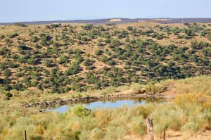 Finca Ganadera De 800ha Cerca De Cáceres