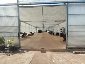 explotación agrícola en Llanera