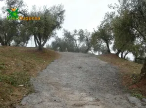 Finca rústica en Peligros con muy buen acceso.