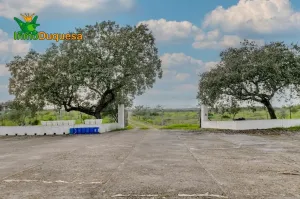 Finca de recreo en Huelva (junto a Portugal).