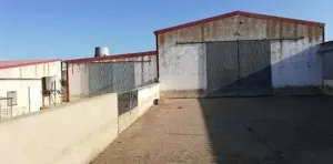 Dehesa Tamujoso | 650 ha de dehesa productiva con explotación ganadera y cinegética en Huelva