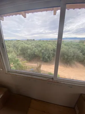 Finca rústica con casa, piscina y olivos