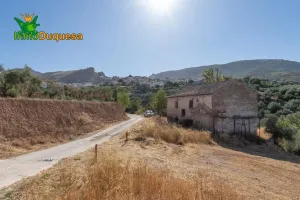 Terreno RÚSTICO con cortijo en Cogollos Vega