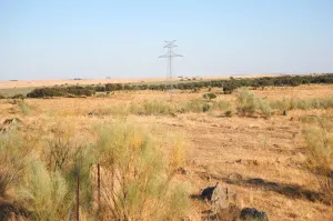 Finca Ganadera De 800ha Cerca De Cáceres