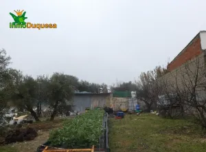 Finca rústica en Peligros con muy buen acceso.