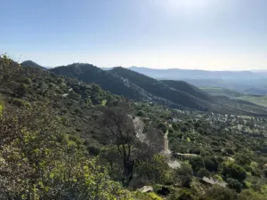 Finca en Alora